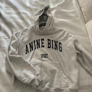 Anine Bing Gray Hoodie